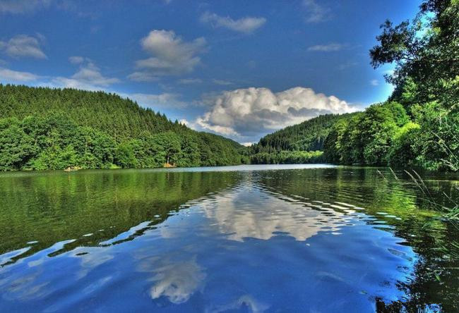 1603525831114920.jpg 下載.jpg